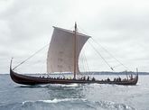 Havhingsten fra Glendalough. Foto: Werner Karrasch, (c) Vikingeskibsmuseet i Roskilde.