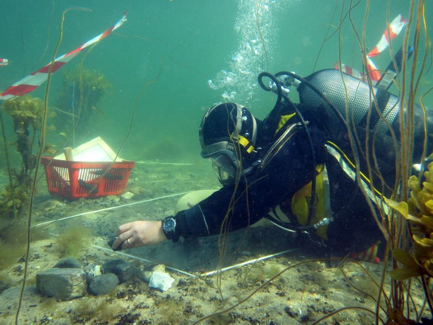 En af Vikingeskibsmuseets Marinarkæologer i dykkerudstyr.