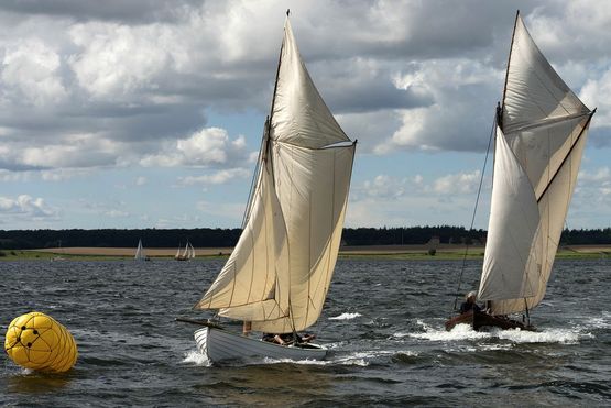 Sejlads i nordiske træbåde på Roskilde Fjord