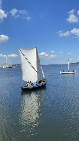 Sejlads i nordiske træbåde på Roskilde Fjord
