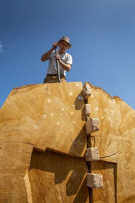 Cleaving of the oak trunk - Skuldelev 5