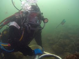 femern drue 14september2020 01.JPG: Marinarkæolog Klara Fiedler fra Vikingeskibsmuseet undersøger vraget af Delmenhorst i havet ud for Rødbyhavn. Foto: Morten Johansen / Vikingeskibsmuseet i Roskilde