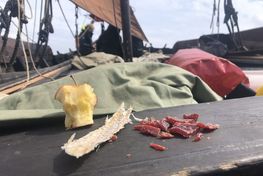 Skjoldungens madprojekt sommertogt 2024