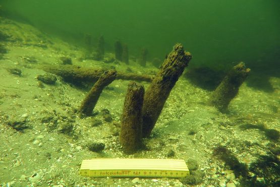 Marinarkæologerne undersøger en pælespærring i Guldborgsund, lige Nord for Kong Frederik den 9.s Bro. Foto: Andreas K. Bloch 