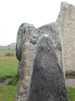 Nogle af stenene i stensætningen Ales Stena.
