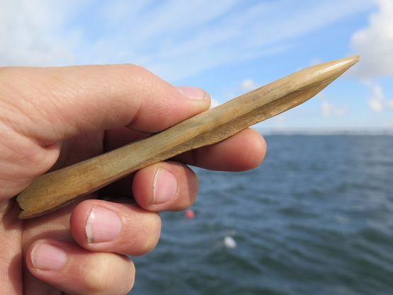 En smukt bearbejdet benpren, der kan have været anvendt til at lave huller i skind, inden syning med dyresener.  Foto: Morten Johansen, Vikingeskibsmuseet.