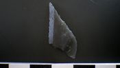 Pilespidserne i denne del af Kongemoseperioden er den karakteristiske skævpil. Her ses et typisk eksemplar. Foto: Morten Johansen, Vikingeskibsmuseet. Pilespidserne i denne del af Kongemoseperioden er den karakteristiske skævpil. Her ses et typisk eksemplar. Foto: Morten Johansen, Vikingeskibsmuseet.