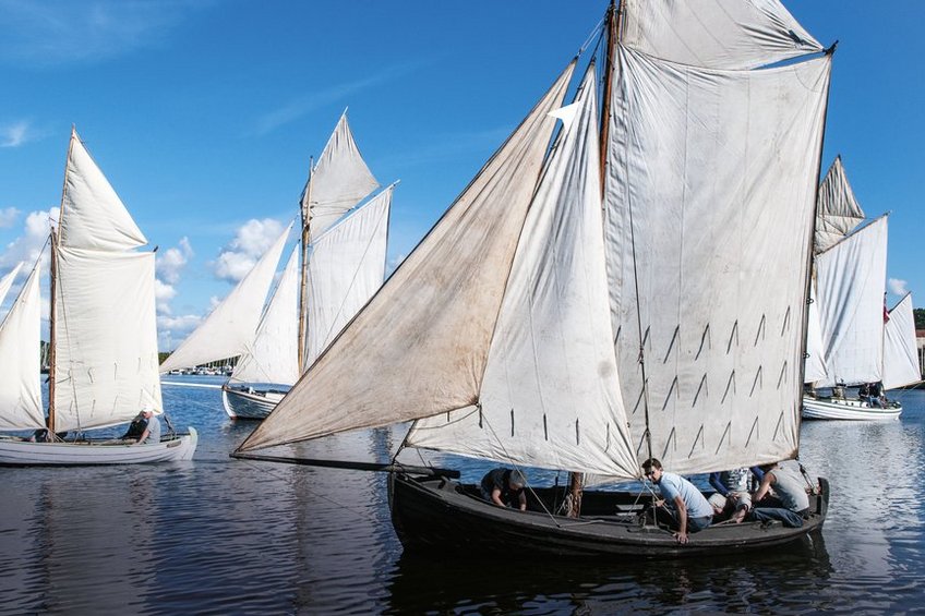 Duelighedskursister sejler i traditionelle træbåde på Roskilde Fjord Duelighedskursister sejler i traditionelle træbåde på Roskilde Fjord