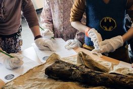 Nogle fund er rester af byens affald: Arkæologerne finder masser af knogler fra dyr, rester af keramik og porcelæn, flasker i forskellige former og farver.  Foto: Jacob N. Andreassen