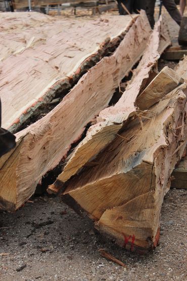 The log is cleaved to sixteenths. These thin sections will then be dressed to make planks for the Gislinge Boat. 