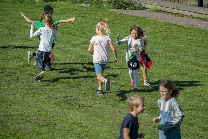 Smag på vikingetiden og Fortællinger og Fabeldyr