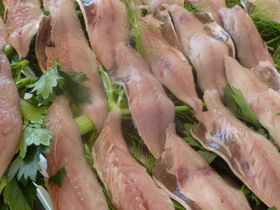 Mackerel from Samsø grilled with celery tops.