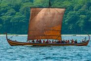 17. juni er det igen muligt at deltage i Vikingeskibsmuseets heldagskursus i at sejle vikingeskib. Kurset afholdes det 17 meter lange vikingeskib 'Helge Ask', der er en rekonstruktion af det lille langskib Skuldelev 5.