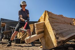 The boatbuilders are cleaving oak for Skuldelev 5: Tuesday 11/7 from 10:00