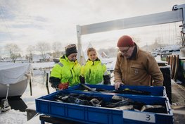 Marinarkæologer på museumsøen. Copyright: Vikingeskibsmuseet i Roskilde.