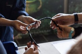 I weekender og ferier kan børn og voksne prøve kræfter med den marinarkæologiske metode på Vikingeskibsmuseet i Roskilde. Foto: Jacob N. Andreassen