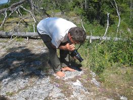 Mellem klipperne gror blomstrende timian og Troels sværmer ligesom honningbierne ør omkring den.
