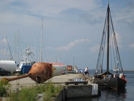 Vi er hovedattraktionen ved 'Havets Dag' på havnen ved Falsterbo Kanal - en midtfarvandsbøje viser vej.
