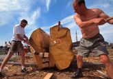 Boat builders are carving an oak in half which is later made into strakes for the Sea Stallion. Photo: Werner Karrash