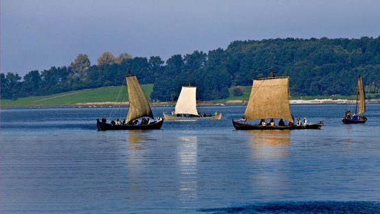 Traditionelle, nordiske træbåde på Roskilde Fjord. 