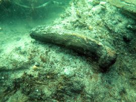 Et sjældent fund af et 8.000 år gammelt økseskaft af træ. Skaftet er brækket allerede i stenalderen og smidt ud i vandkanten tæt ved bopladsen. Foto: Morten Johansen, Vikingeskibsmuseet.