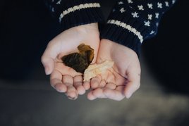 En håndfuld af smagsprøver på vikingernes måltider. Fotograf: Jacob Nyborg Andreasen, Copyright: Vikingeskibsmuseet i Roskilde 