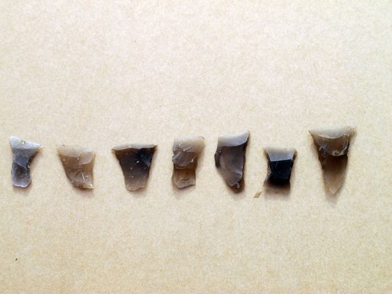 Pilespidser af flint - de såkaldte tværpile - kan bruges til at fastslå bopladsens alder og daterer fundene til til Ertebøllekultur, ca. 5.400-4.250 f.Kr. Foto: Jørgen Dencker