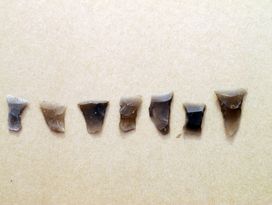 Pilespidser af flint - de såkaldte tværpile - kan bruges til at fastslå bopladsens alder og  daterer fundene til til Ertebøllekultur, ca. 5.400-4.250 f.Kr. Foto: Jørgen Dencker