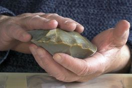 Bopladserne fra Bisserup Bugt har ikke tidligere været kendt af arkæologerne, så indleveringen af det store flintmateriale har stor betydning for  det billede, arkæologerne kan tegne af livet ved havet for 6.500 år siden. Fundene viser blandt andet, at stenalderjægerne har boet ved Bisserup Bugt gennem generationer, hvilket vidner om, at der var gode fiske og jagt betingelser i området.