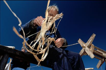 Foto: Werner Karrasch