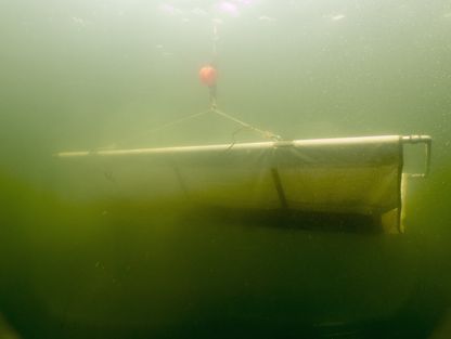 Skibsdele på vej til overfladen for første gang i 800 år.