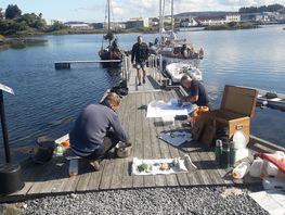 Der pakkes og gøres søklar i Haugesund. Foto: Torben Okkels