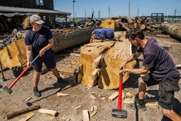 The boatbuilders are cleaving oak for Skuldelev 5: Tuesday 11/7 from 10:00