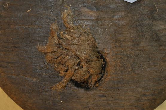 Bemærk resterne af tovværk, som stadig sidder i jomfruens huller. Foto: Morten Johansen, Vikingeskibsmuseet. Bemærk resterne af tovværk, som stadig sidder i jomfruens huller. Foto: Morten Johansen, Vikingeskibsmuseet.