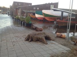 Alle ting, der ikke var surret eller fortøjet, er blevet flyttet rundt af vandet. Her ses den mere end 120 cm i diameter store egetræsrod, der udstilles på værftspladsen.