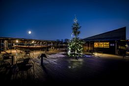 Is it time for a new Christmas tradition? The Viking Ship Museum is open with activities, stories and tours every day during Christmas - also on 24 December.