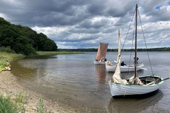 Vikingeskibsmuseet i Roskilde har en stor samling af traditionelt klinkbyggede både, som bliver brugt til sejlads på uddannelsen. Foto: Nis Nielsen